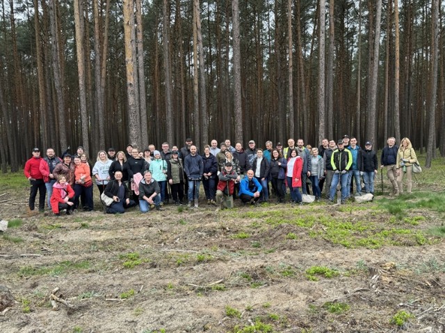 Pfleiderer posadził 25 tys. drzew nieopodal Wieruszowa