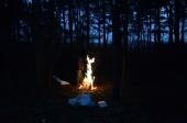 Rozpalili ognisko w lesie. Topili kable