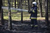 Groźny pożar w Przybyłowie