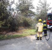Pożar w Mirkowie
