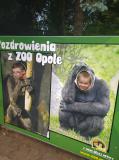 Z Teklinowa do opolskiego zoo