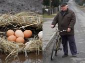 Kury zniosły jaja w powiatowych dziurach!