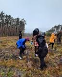 Akcja dosadzania lasu