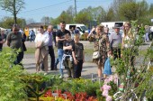 Przy ul. Polnej w Wieruszowie trwają targi ogrodnicze