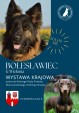 Wystawa psów rasowych w Bolesławcu