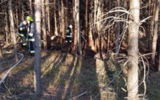 Pożar lasu w gminie Galewice