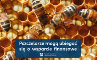 Pszczelarze już mogą starać się o dofinansowanie